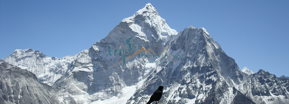 Ama Dablam Expedition