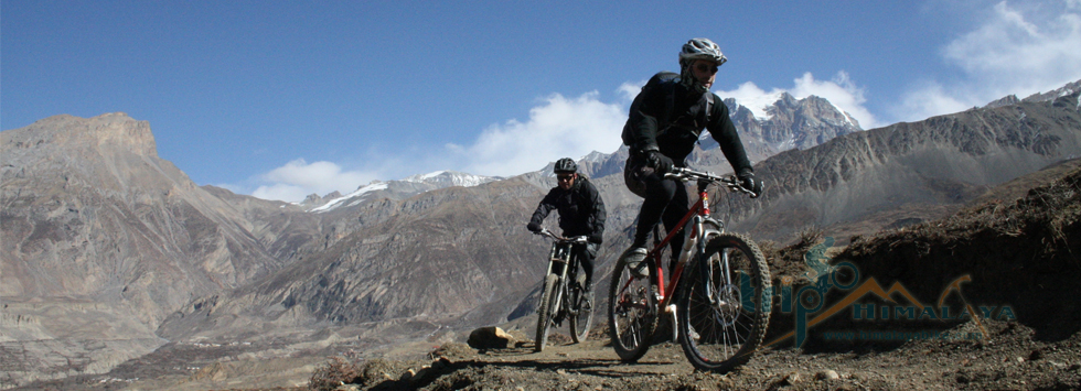 Mustang Mountain Biking